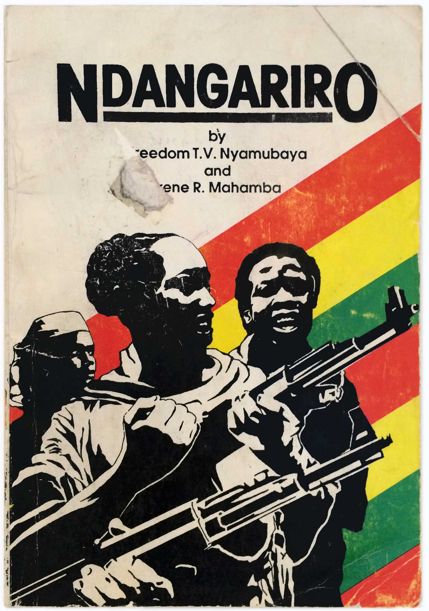 Nyamubaya_Ndangariro_ZIMFEP