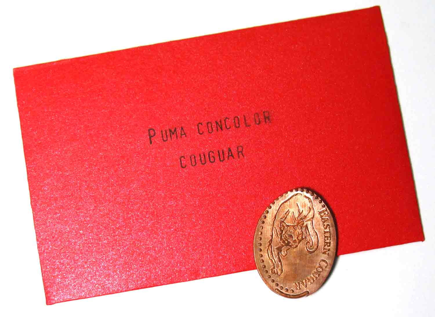 cougar_envelope