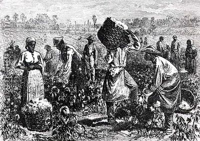 Slaves-Picking-Cotton-On-A-Plantation.jpg