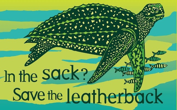 leatherbacksmall.jpeg