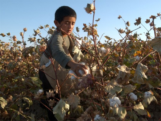 uzbekistan-child-labor-cotton-1-537x402.jpg
