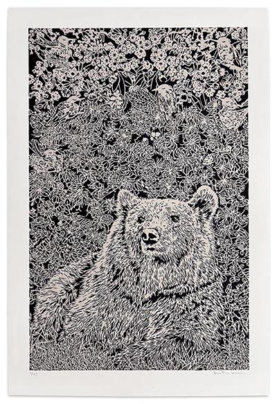Baby Bear – Mountain Laurel