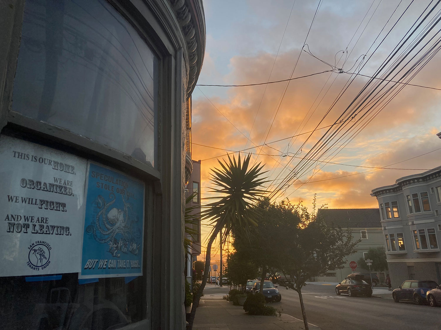 Photograph of apartment window with anti-eviction posters, with sunrise in background