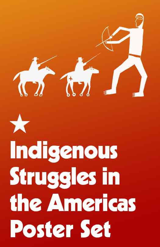 Indigenous Struggles in the Americas Poster Set