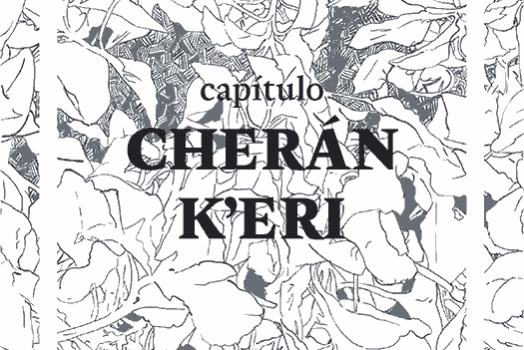 Art and activism zine from Mexico City focused on Cherán K’eri. 