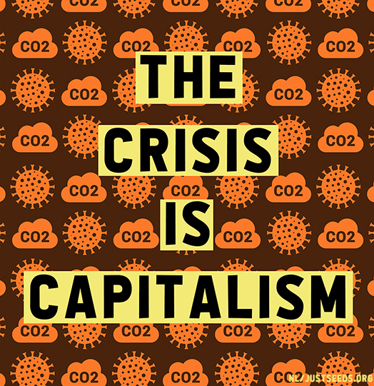 The Crisis is Capitalism