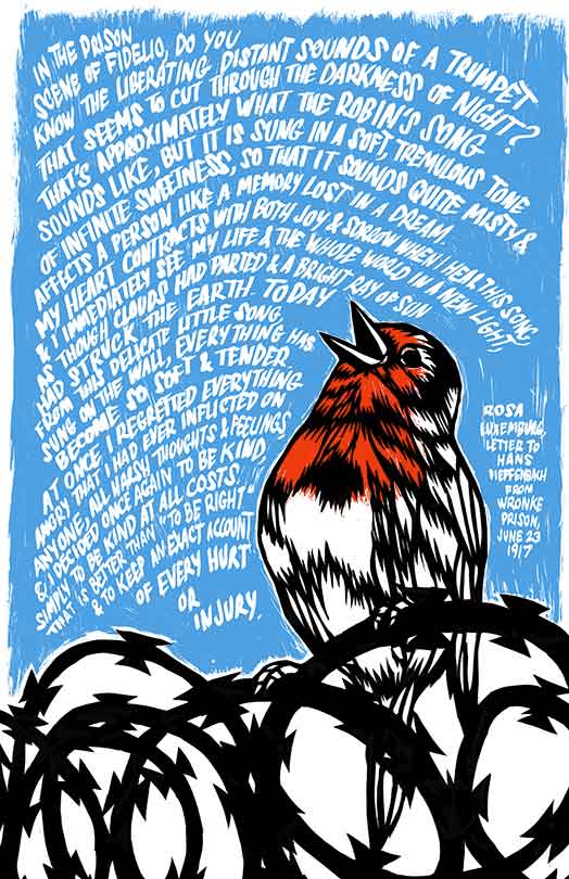 The Robin’s Song (for Rosa)