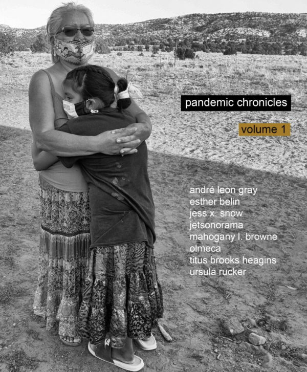 pandemic chronicles – volume 1