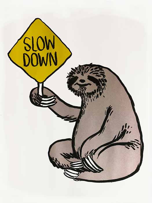 Slow Down