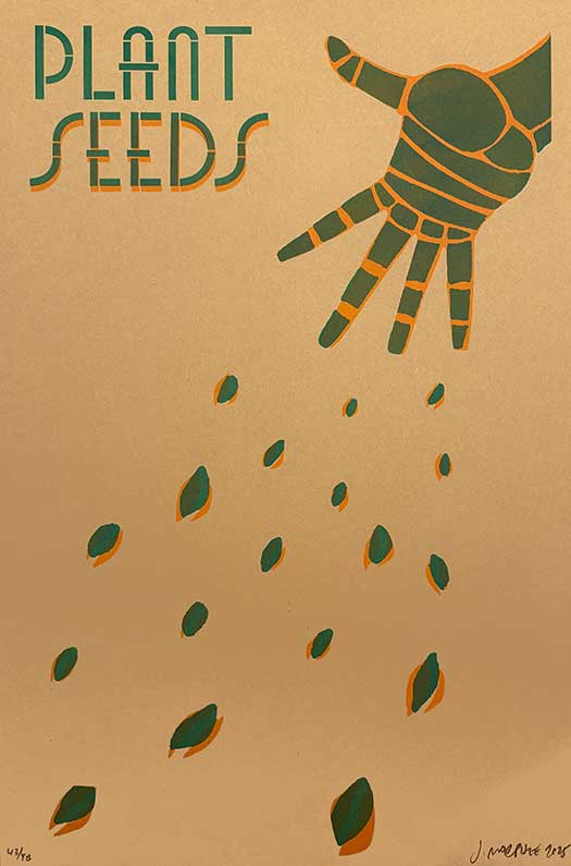 Plant Seeds