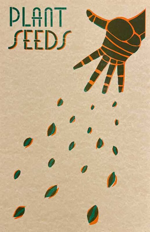 Plant Seeds