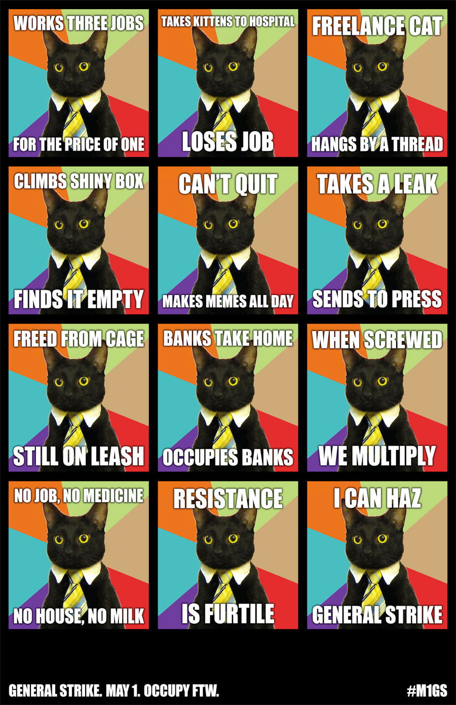 business cat meme