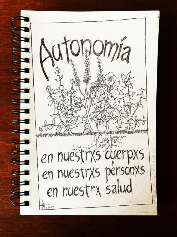 Pencil sketch of plants used in herbal abortion, with the words "Autonomia, en nuestrxs cuerpxs, en nuestrxs personxs, en nuestrx salud."