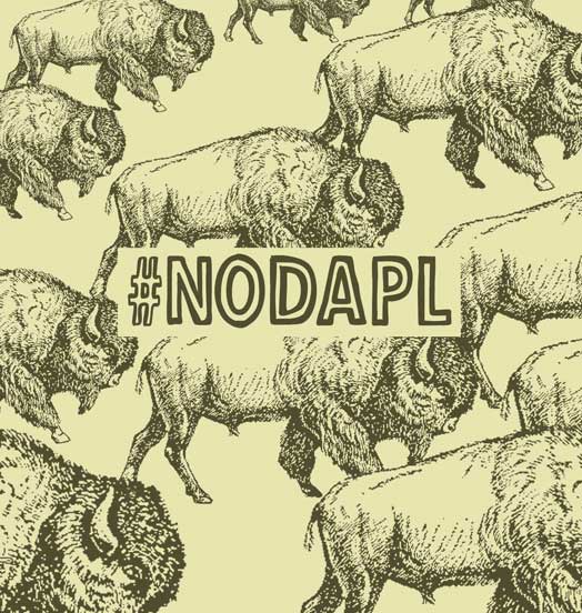 NO DAPL Buffalo