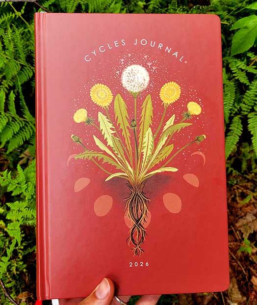 Cycles Journal: 2026