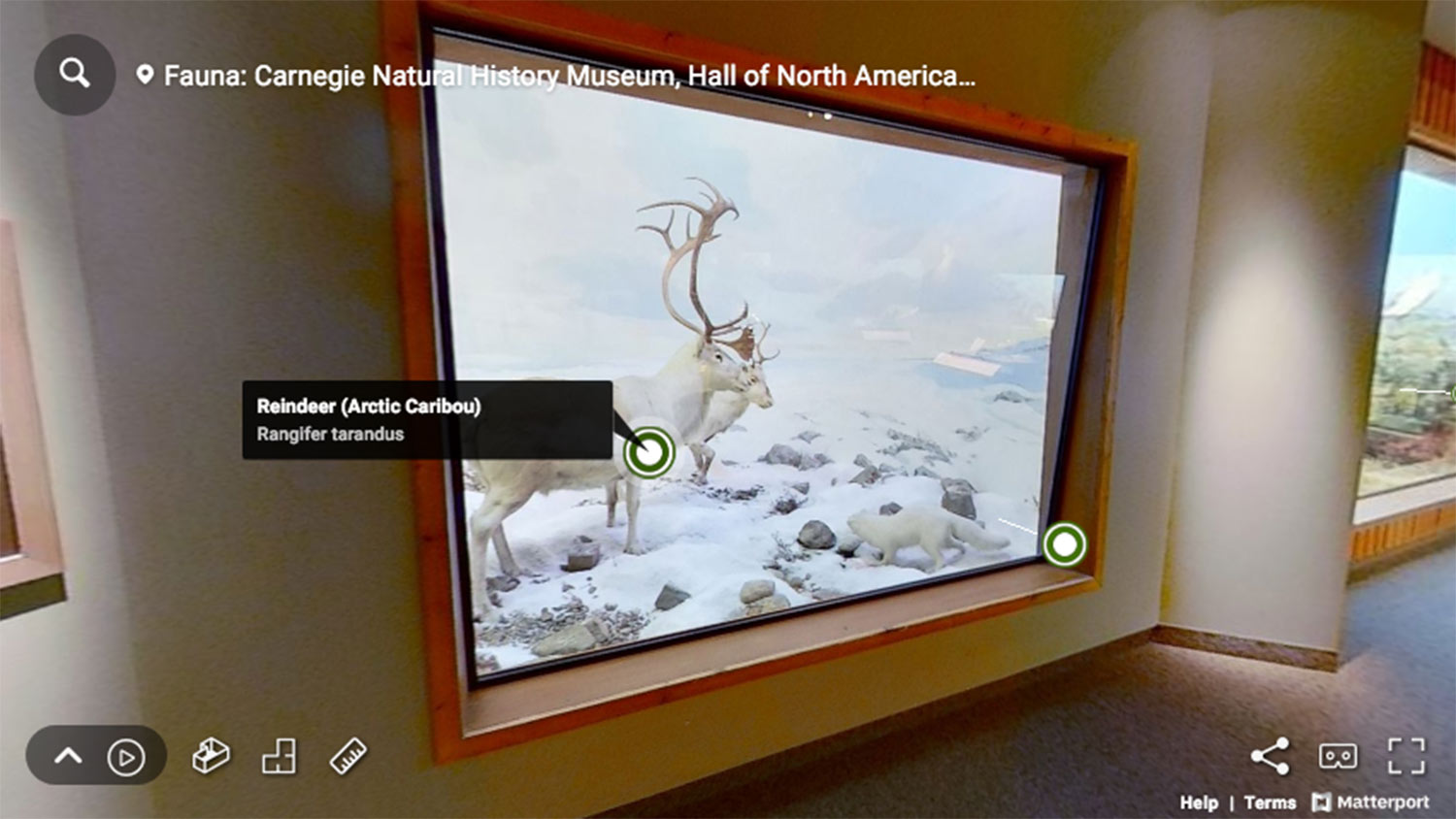carnegie museum virtual tour