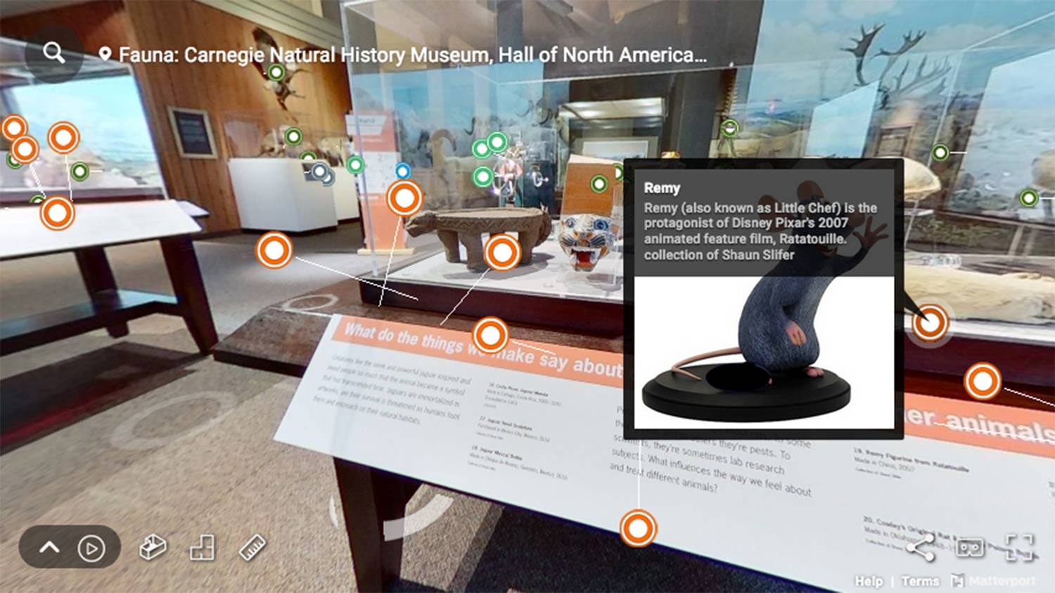 carnegie museum virtual tour