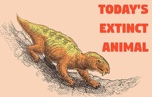 Today’s Extinct Animal: Lystrosaurus