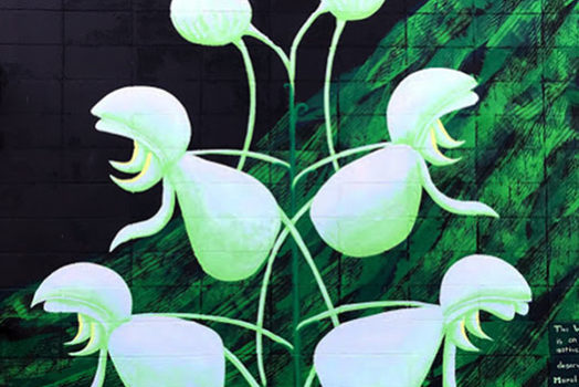 Endangered Species Murals: White Fringeless Orchid