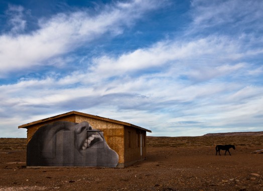 The Painted Desert Project