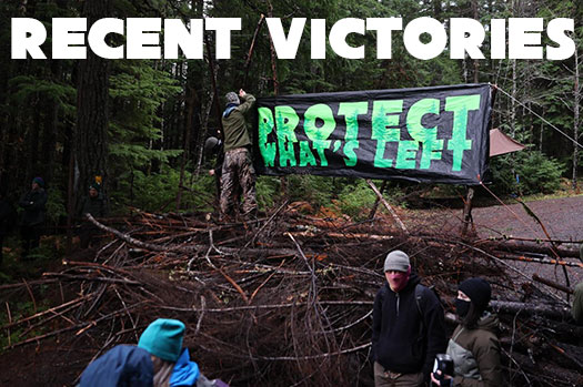 Recent Victories Against Fossil Fuel Infrastructure