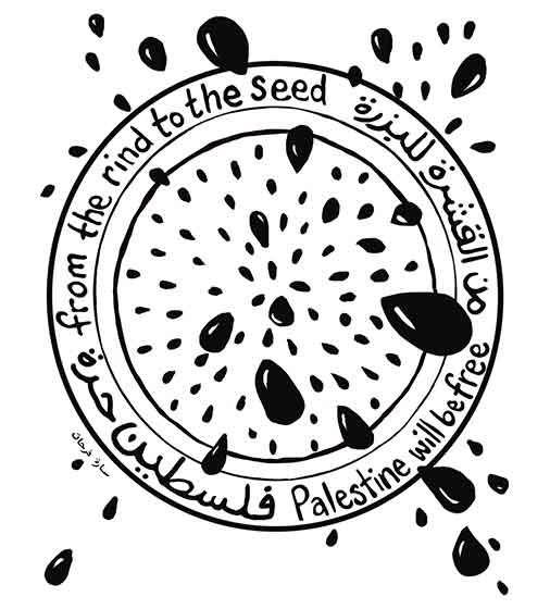 From the Rind to the Seed